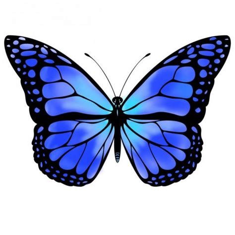 Blue butterfly by VicksterXP | Blue butterfly tattoo, Purple butterfly ...