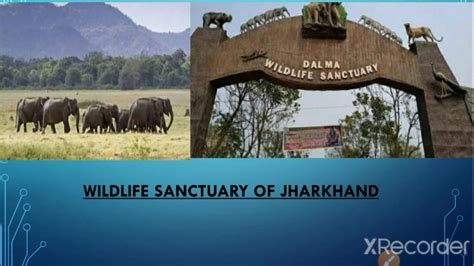 #jharkhand wildlife sanctuary # jharkhand gs# - YouTube