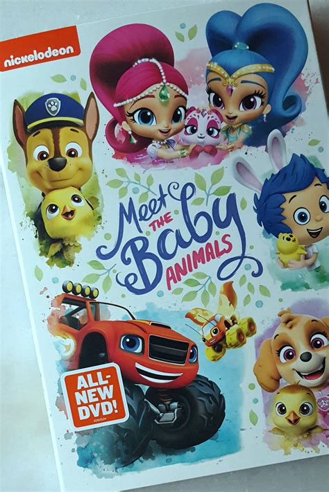 Nick Jr. Meet The Baby Animals DVD - Mama Likes This