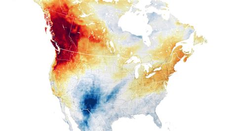 How climate change intensified the Pacific Northwest heat wave | Science News