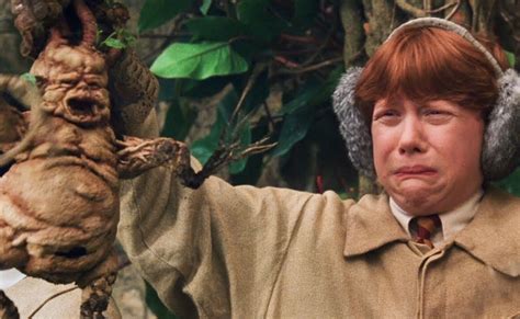 Ron & Mandrake - Harry Potter and the Chamber Of Secrets (2002) | Harry ...