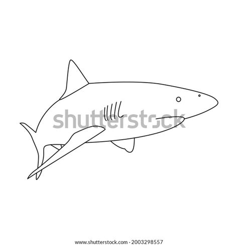 Shark Line Drawing Clip Art Stock Vector (Royalty Free) 2003298557 ...