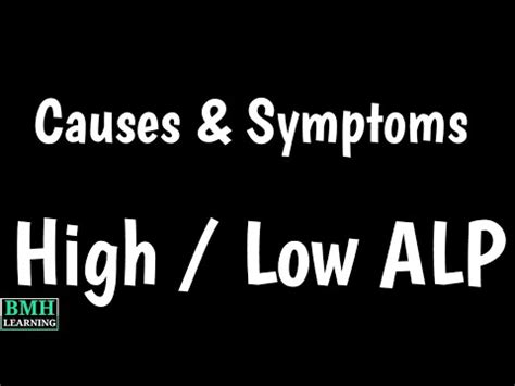 Causes Of High Alkaline Phosphatase In Blood | Symptoms Of High ALP | - YouTube