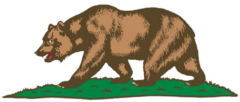 California Bear Logo Png Png Image Collection - vrogue.co