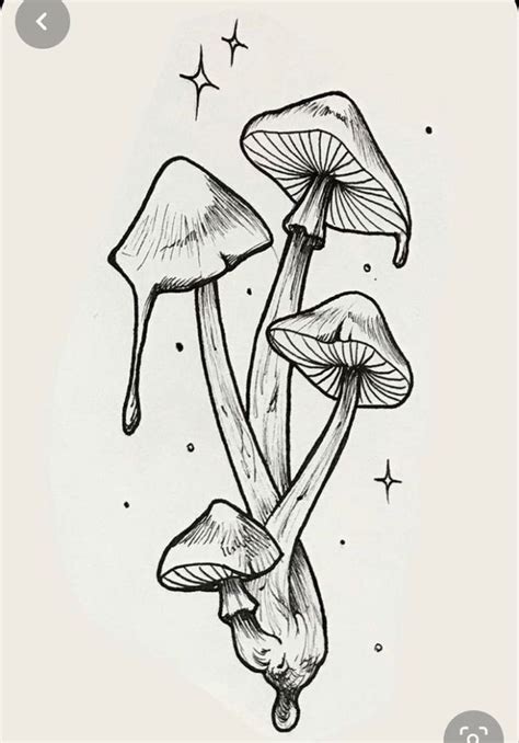 240+ Radiant Mushroom Tattoos Ideas and Designs (2024) - TattoosBoyGirl | Tattoo design drawings ...