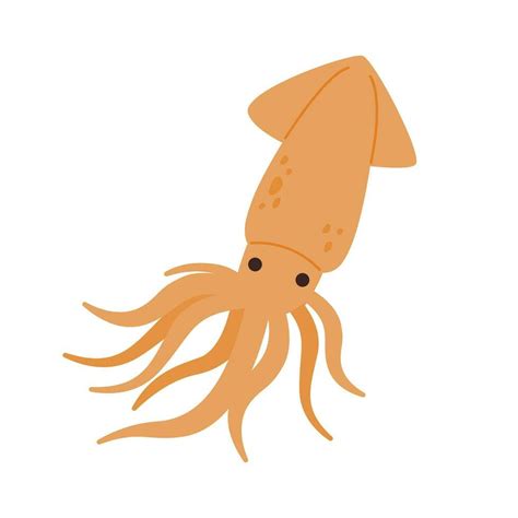 Squid drawing. flat vector illustration. 26762871 Vector Art at Vecteezy