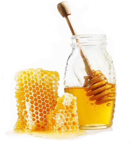 Honey beverages for summer refreshment - Pahrump Honey Company