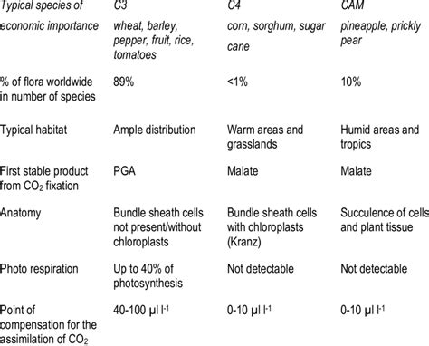 Some of the differences among C3, C4 and CAM plants. | Download Table