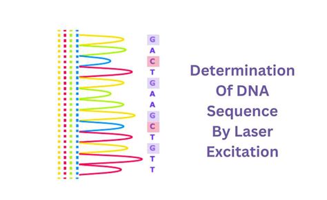 Sanger Method of DNA Sequencing-An Overview