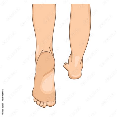 Female legs barefoot, back view, walking. Vector illustration, hand ...