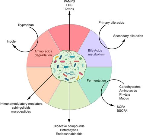 Gut Microbiome