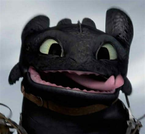 Pin by Adriana Renyna on Quizes | How train your dragon, How to train your dragon, Cute toothless