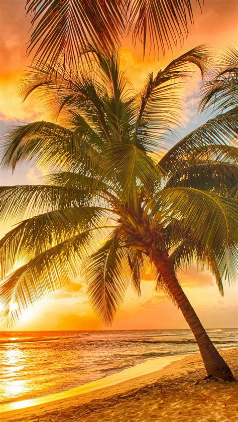 Tropical Beach, landscape, nature, sea, sunset, tropical beach, HD ...