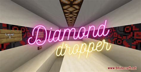 Diamond Dropper Map 1.17.1 for Minecraft - 9Minecraft.Net