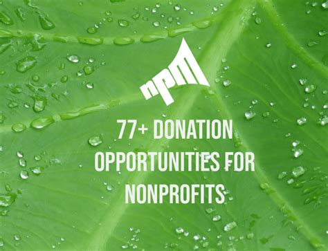 The Ultimate List of 50 Nonprofit Marketing Ideas - Nonprofit Megaphone