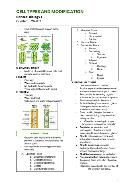 SOLUTION: General biology cell types and modification - Studypool