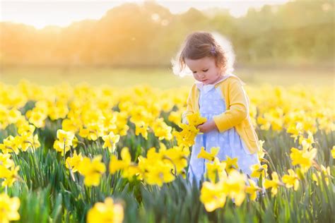 Download Little Girl Yellow Flower Daffodil Summer Depth Of Field Flower Photography Child HD ...