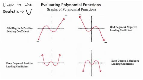 Evaluating Polynomial Functions | Graphing linear equations activities ...