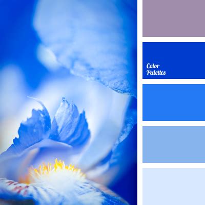 gradient color palette | Color Palette Ideas