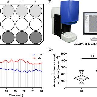 Zebrafish behavior detection. (A) The 12‐well plate and the area... | Download Scientific Diagram