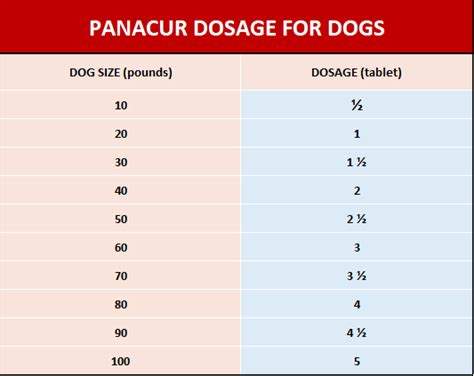 Should You Give Panacur to Your Dog