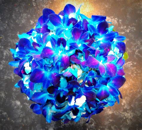 Dyed Blue Dendrobium Orchids, inserted into a Sprayed Teal Blue ...