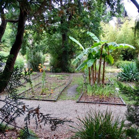 The botanic gardens of Bordeaux 1/2: Jardin Public - Invisible Bordeaux