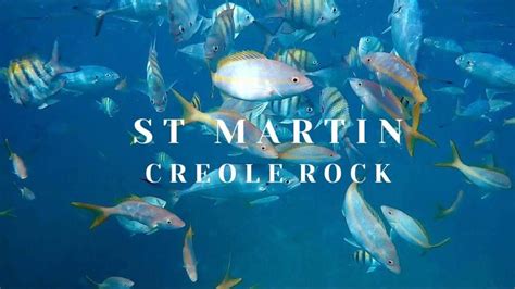 SNORKELING IN ST MARTIN | LUXE CARAÏBES Snorkeling at Creole Rock in St ...