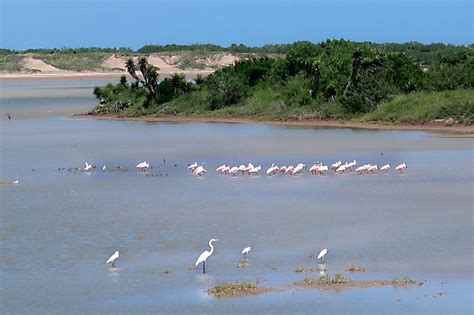 Day Trips: Laguna Atascosa National Wildlife Refuge: Unspoiled coastal refuge at its best in the ...