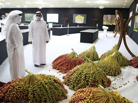 17th Liwa Date Festival kicks off in Al Dhafra | Uae – Gulf News