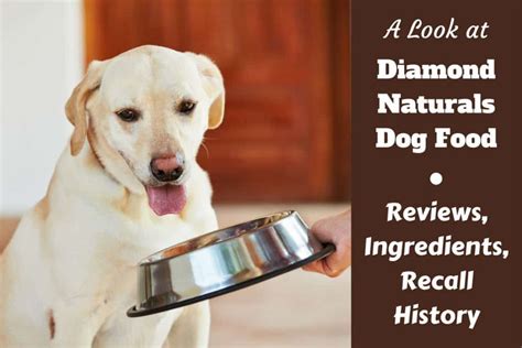 Diamond Naturals Dog Food Reviews, Ingredients, Recall History and Our Rating