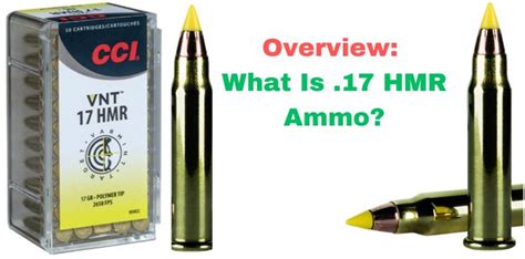 17 HMR Ammo: Specifications, Ballistics, Applications & More