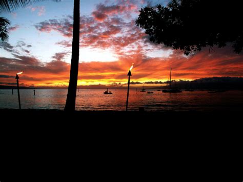 Lahaina Harbor Sunset Tree Day, Sea Plants, Lahaina, Sea Creatures, Trees To Plant, Places To ...