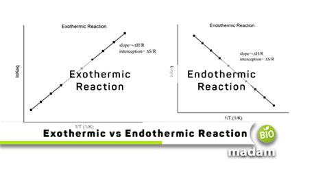 Difference Between Exothermic and Endothermic Reactions - biomadam