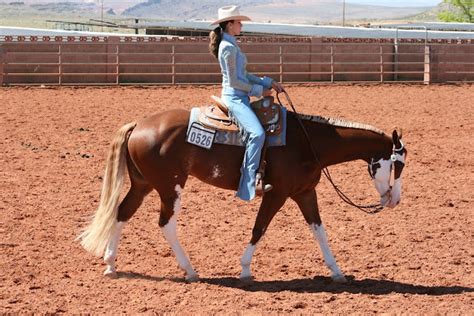 abby keele photography: quarter horse show