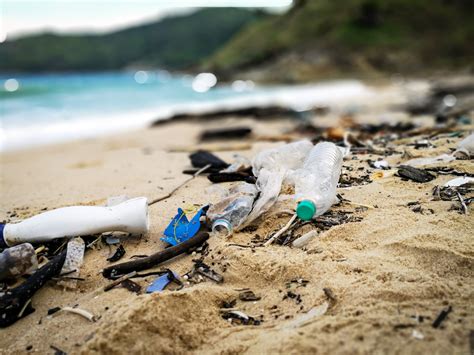 Cleaning up beaches can boost local economies - Earth.com