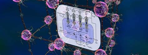 Systems Biology | Center for BioEngineering | UC Santa Barbara