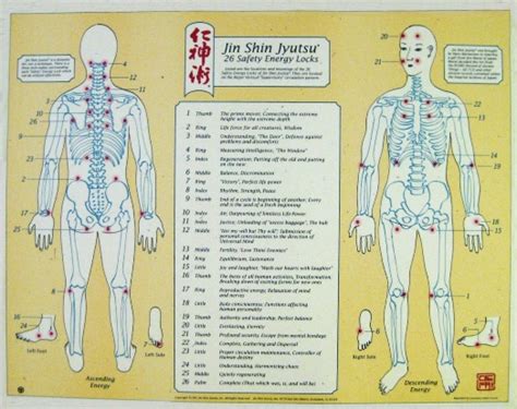 Small "Safety Energy Lock" Chart - JSJ Store - Jin Shin Jyutsu®