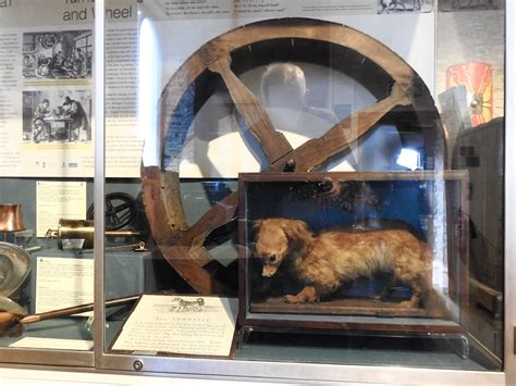 Turnspit Dog, Museum, Abergavenny Castle 30 May 2019 | Flickr