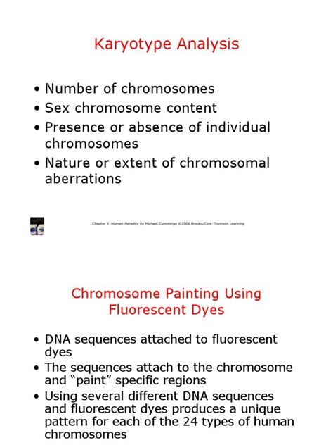 (PDF) karyotype analysis - DOKUMEN.TIPS