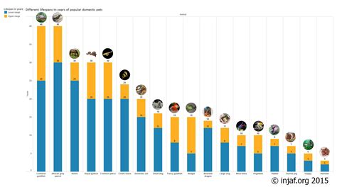 Lifespans of fish and other animals - INJAF