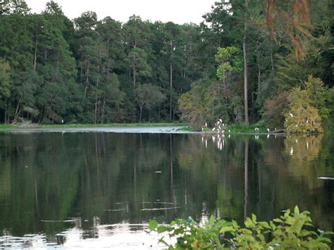 Huntsville State Park, a Texas State Park located near Conroe, Huntsville and Montgomery