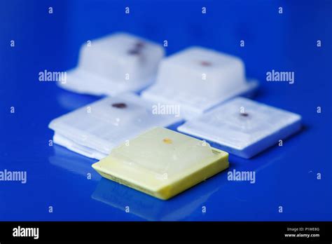 Histology slides hi-res stock photography and images - Alamy