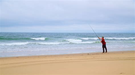 Back Bay National Wildlife Refuge Tours - Book Now | Expedia