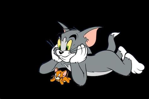 Are you Tom or Jerry? in 2023 | Tom and jerry pictures, Jerry, Toms