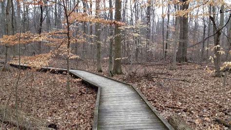 Blacklick Woods Metro Park