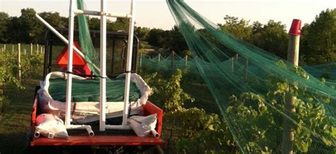 Installation and Removal of Woven Bird Netting – MDTgrow.com