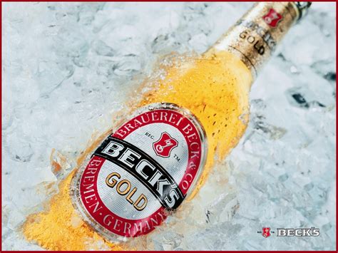 becks gold, beer, brand Wallpaper, HD Brands 4K Wallpapers, Images and ...