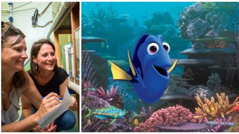 Scientist worries Finding Nemo sequel could endanger real blue tang ...