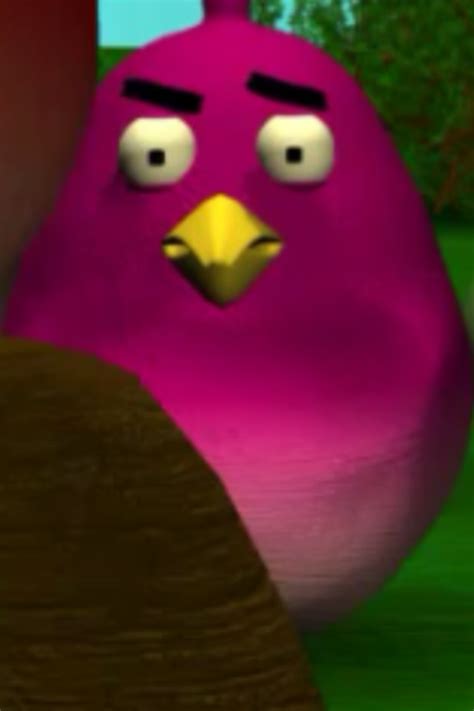 Imagen - Purple bird.png | Angry Birds Wiki | FANDOM powered by Wikia